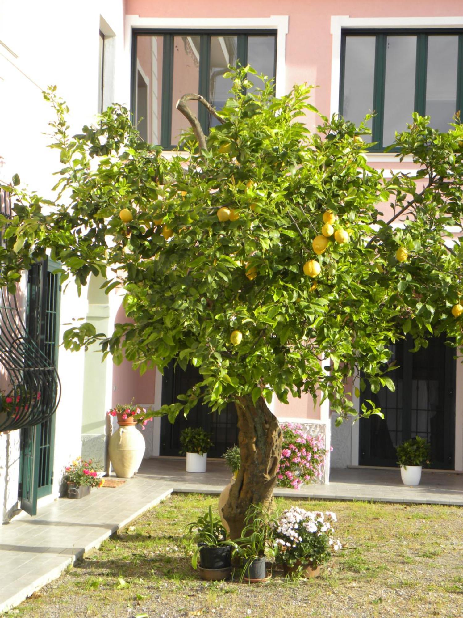 Guest House Cifrino Giffoni Sei Casali Zewnętrze zdjęcie